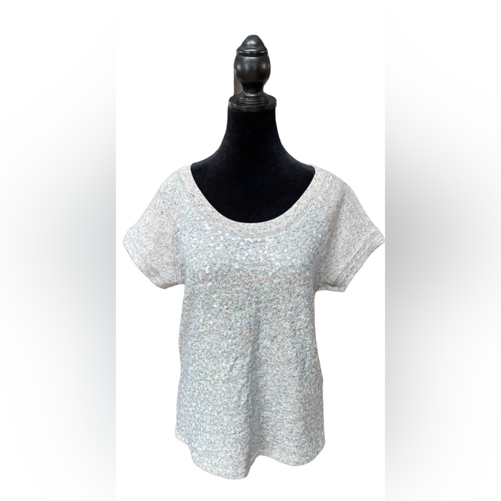 Express: Short Sleeve Sweater